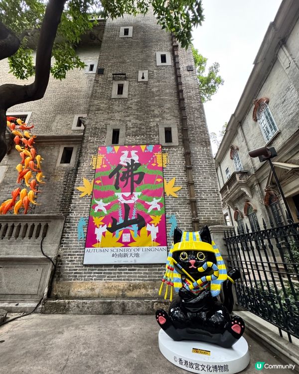 埃及法老與他可愛的貓