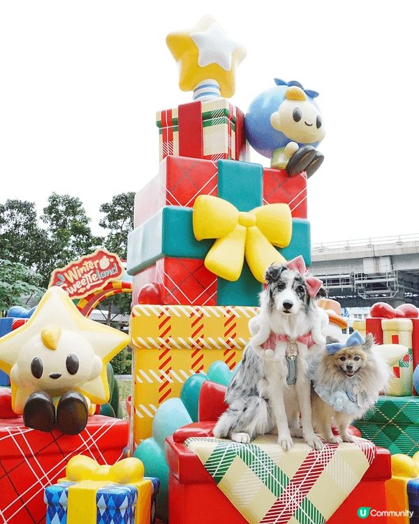 ✨ 北角海濱花園已經換上全新聖誕裝置啦！今年主題係【甜夢精靈...