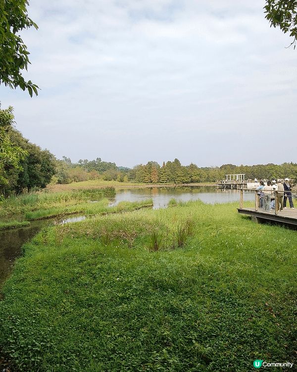 12月6至7日，天水圍濕地公園免費開放（正價成人票$30），...