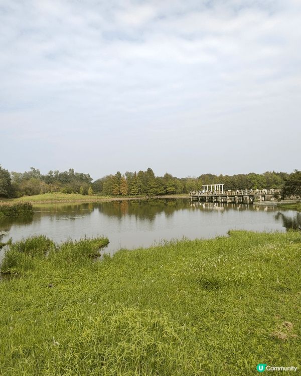12月6至7日，天水圍濕地公園免費開放（正價成人票$30），...