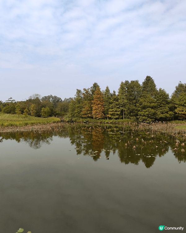 12月6至7日，天水圍濕地公園免費開放（正價成人票$30），...