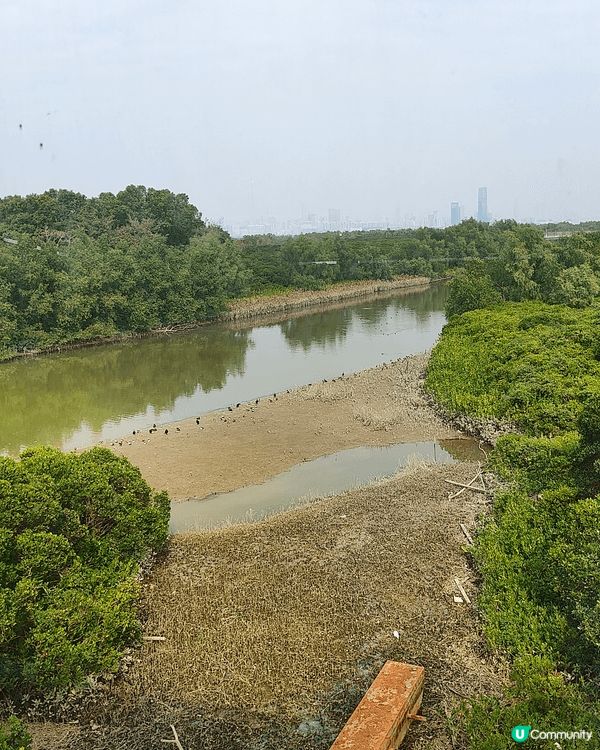 12月6至7日，天水圍濕地公園免費開放（正價成人票$30），...