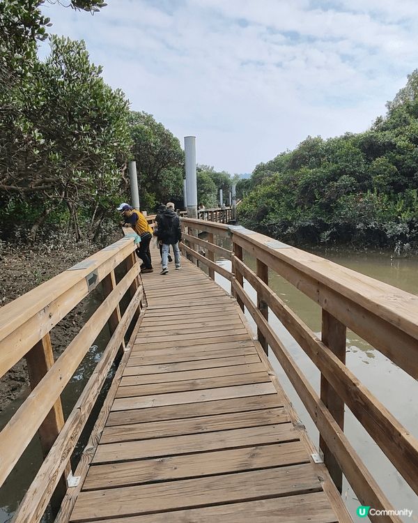 12月6至7日，天水圍濕地公園免費開放（正價成人票$30），...