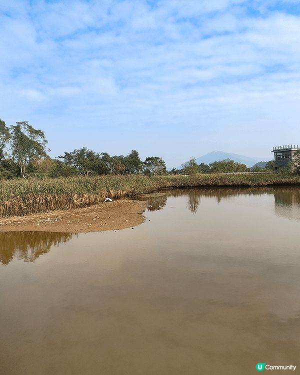 12月6至7日，天水圍濕地公園免費開放（正價成人票$30），...
