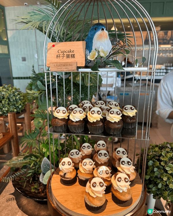 最近香港海洋公園富麗敦酒店做緊快閃買一送一嘅lunch bu...