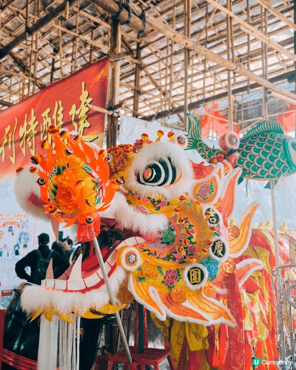 雖然自己唔係圍村人，但身為土身土長既元朗人，當然唔可以錯過錦...