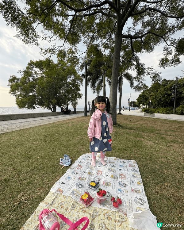 【香港2025聖誕節親子打卡推介】