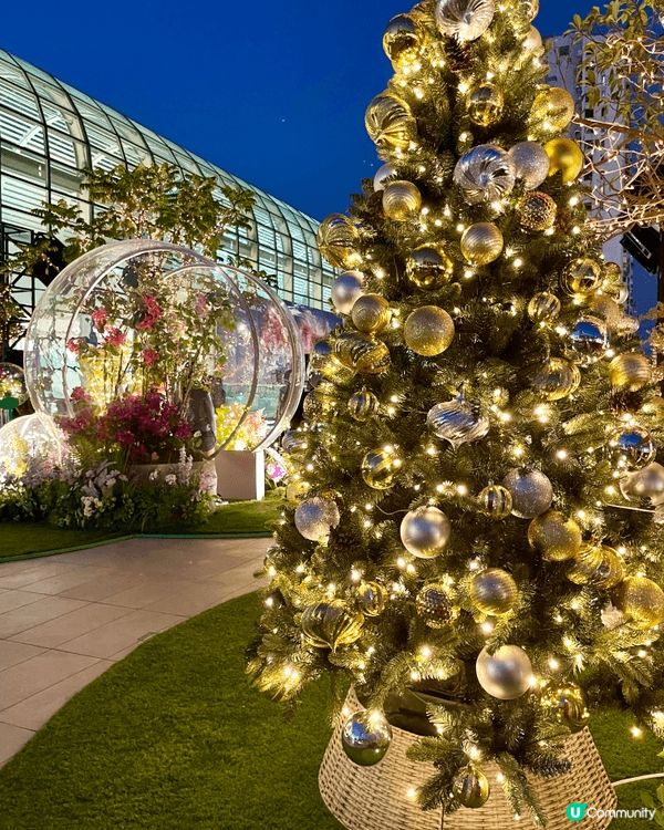 沙田新城市廣場空中花園，藏著意想不到的都市秘境！廣場7樓戶外...