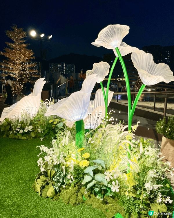 沙田新城市廣場空中花園，藏著意想不到的都市秘境！廣場7樓戶外...