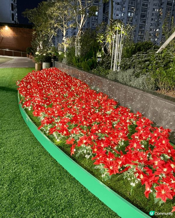 沙田新城市廣場空中花園，藏著意想不到的都市秘境！廣場7樓戶外...