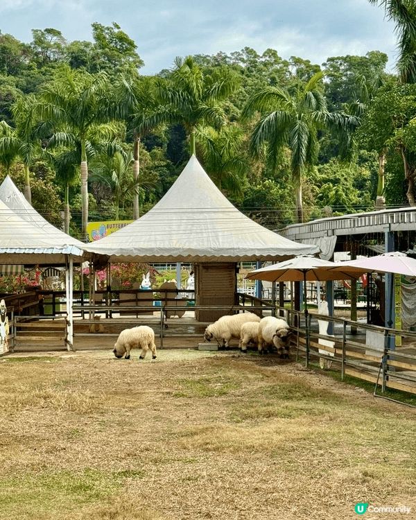 田野、花園、小動物、水上觀光艇......愜意恬淡的田園風光...