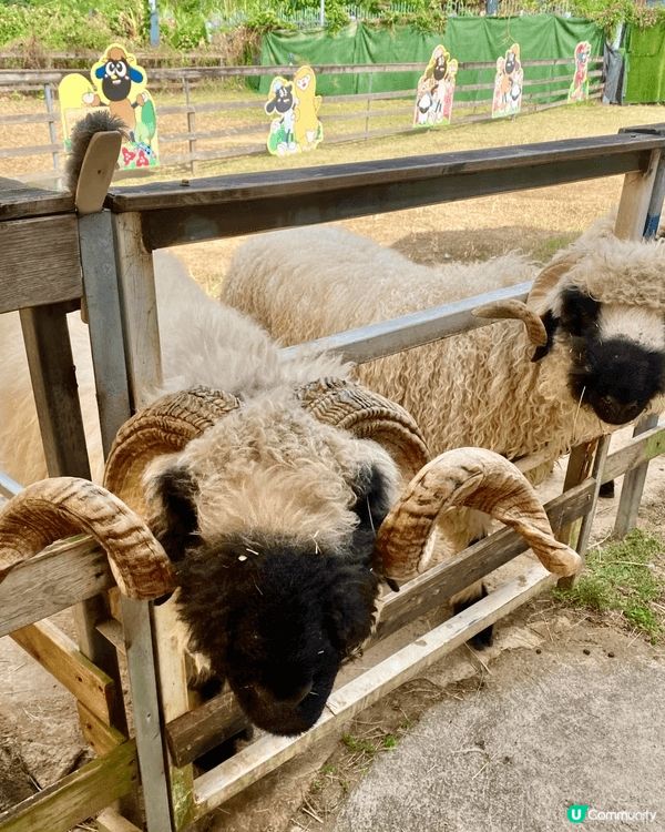 田野、花園、小動物、水上觀光艇......愜意恬淡的田園風光...