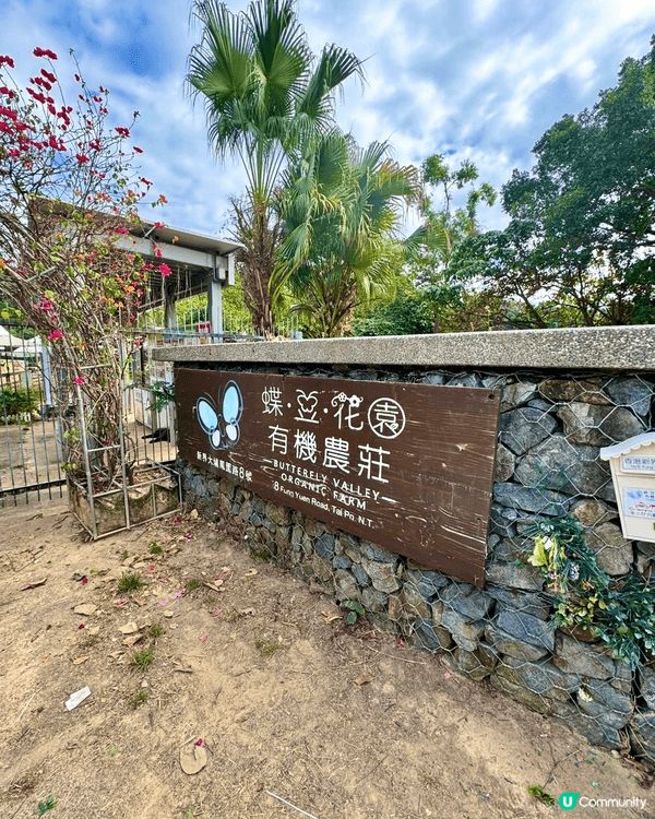 田野、花園、小動物、水上觀光艇......愜意恬淡的田園風光...