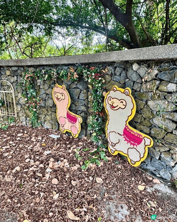 田野、花園、小動物、水上觀光艇......愜意恬淡的田園風光...