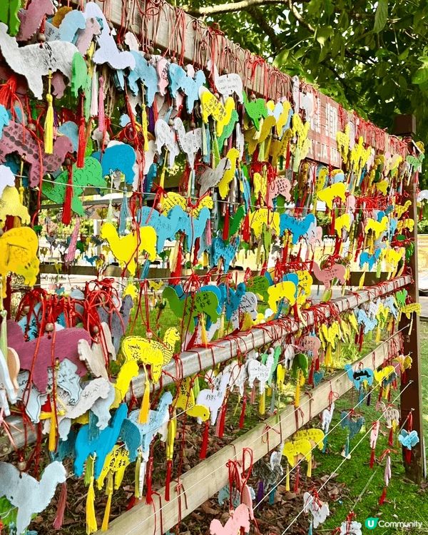 田野、花園、小動物、水上觀光艇......愜意恬淡的田園風光...