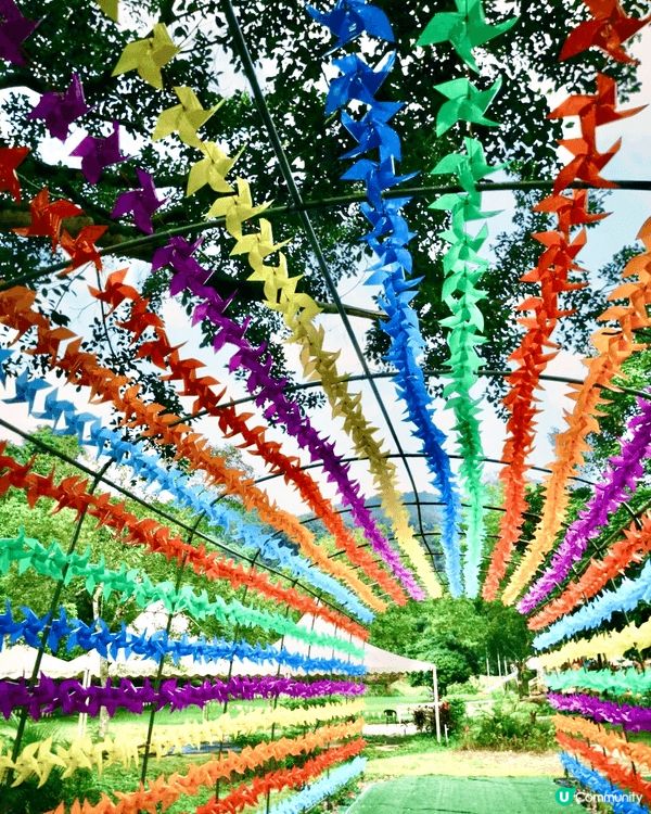 田野、花園、小動物、水上觀光艇......愜意恬淡的田園風光...