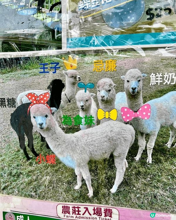 田野、花園、小動物、水上觀光艇......愜意恬淡的田園風光...