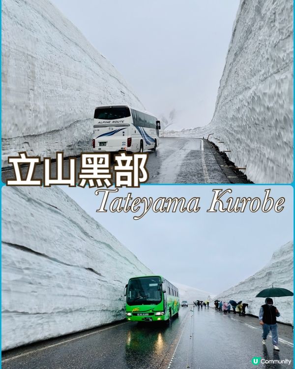 立山黑部雪牆大冒險！🏔️交通接力賽！
