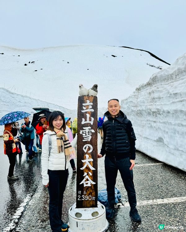 立山黑部雪牆大冒險！🏔️交通接力賽！