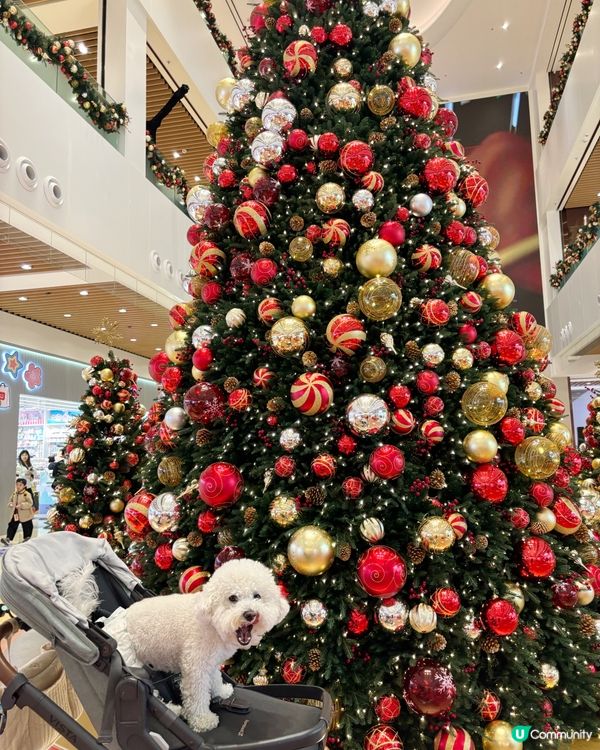 灣仔City walk最強攻略嚟喇!