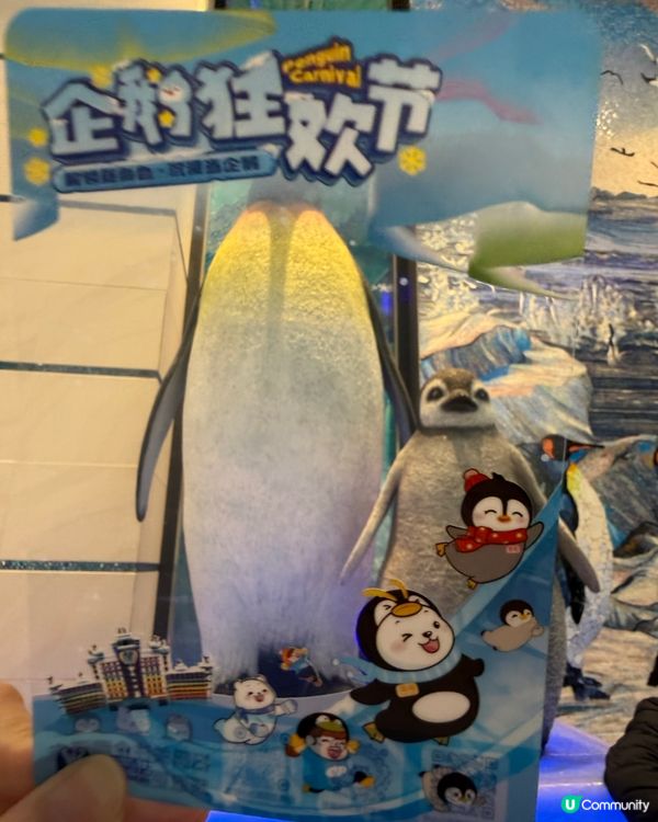 ［珠海親子遊］🐧企鵝酒店免費換企鵝羽毛相框❤️