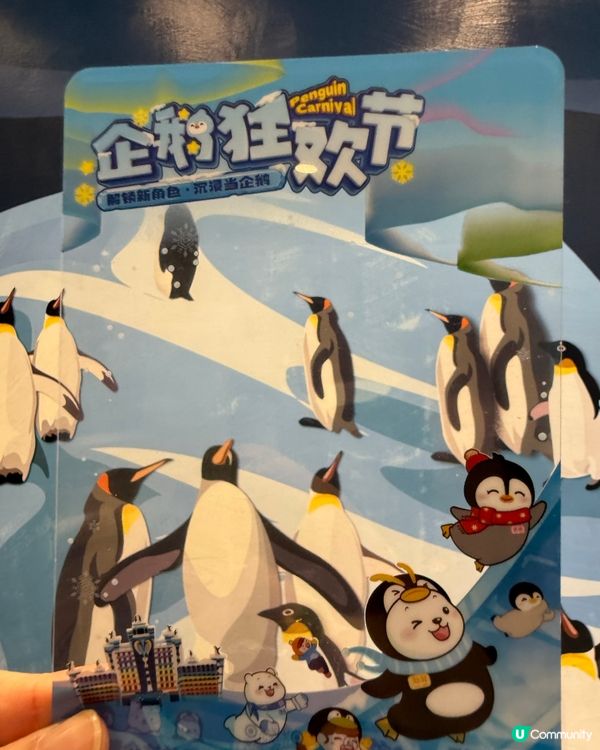 ［珠海親子遊］🐧企鵝酒店免費換企鵝羽毛相框❤️