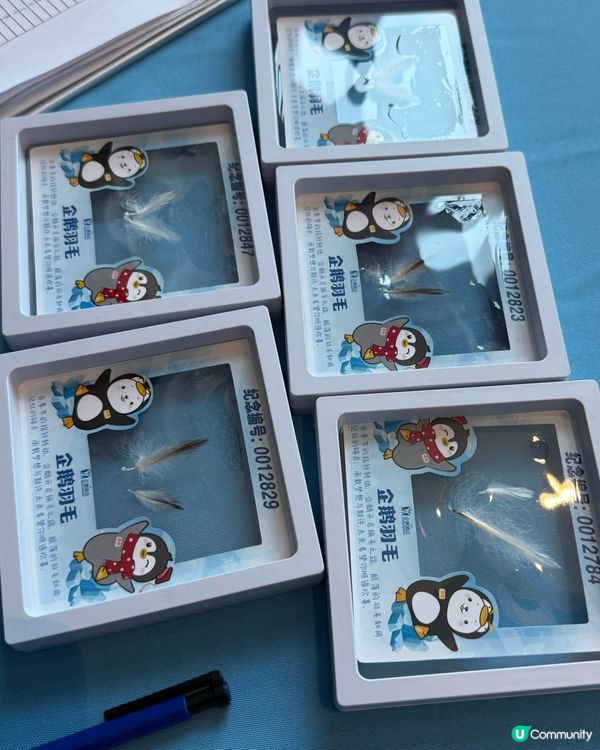 ［珠海親子遊］🐧企鵝酒店免費換企鵝羽毛相框❤️