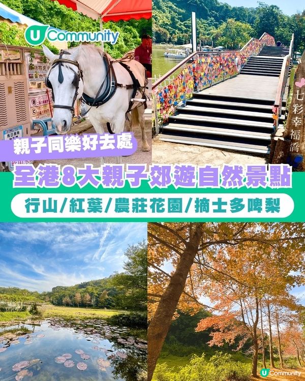 【郊遊好去處】全港8️⃣大親子郊遊自然景點🌳行山/紅葉/農莊花園/摘士多啤梨