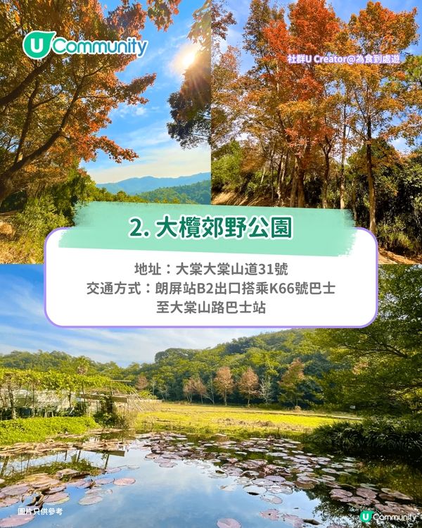 【郊遊好去處】全港8️⃣大親子郊遊自然景點🌳行山/紅葉/農莊花園/摘士多啤梨