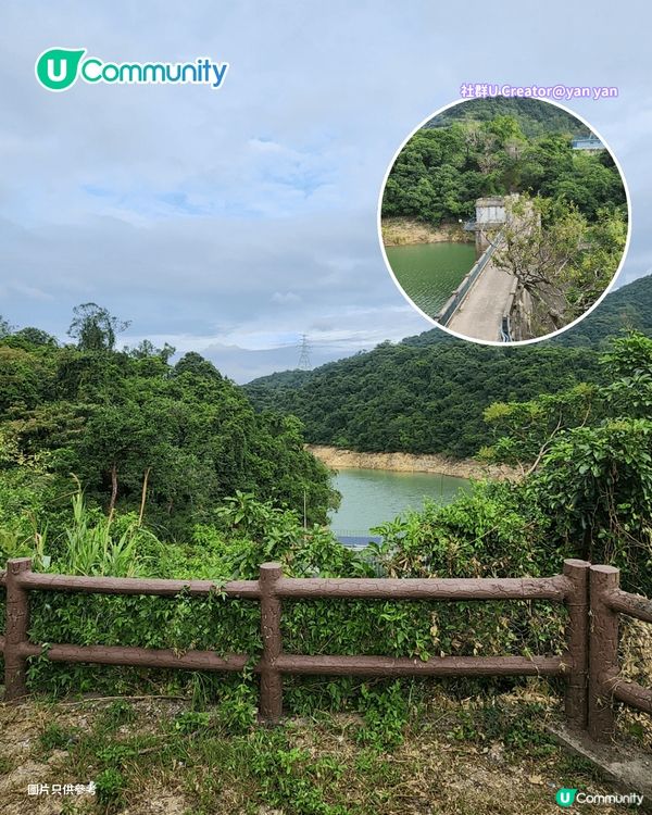 【郊遊好去處】全港8️⃣大親子郊遊自然景點🌳行山/紅葉/農莊花園/摘士多啤梨