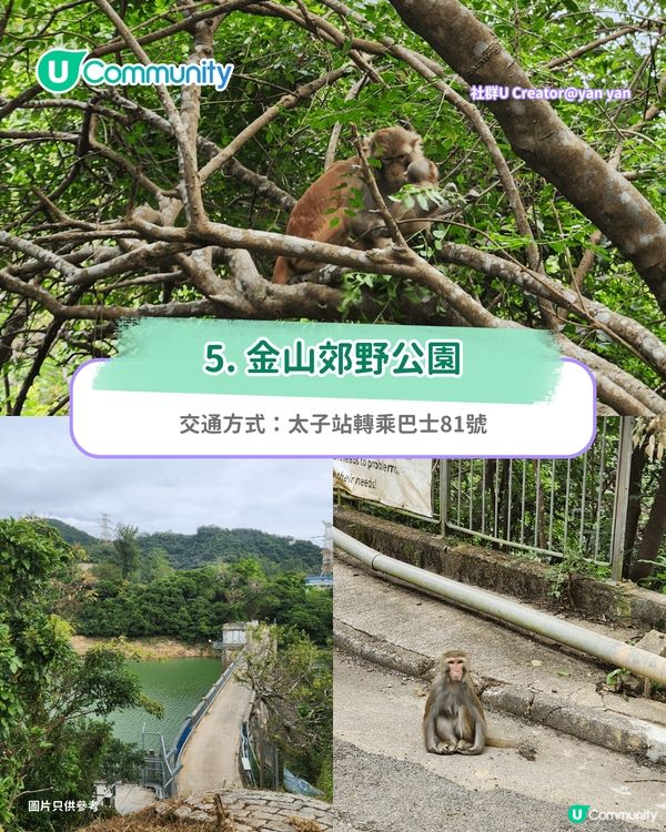 【郊遊好去處】全港8️⃣大親子郊遊自然景點🌳行山/紅葉/農莊花園/摘士多啤梨