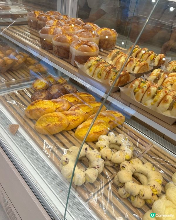 深圳必買Chiikawa 💕Kitty 💕Zootopia聯名