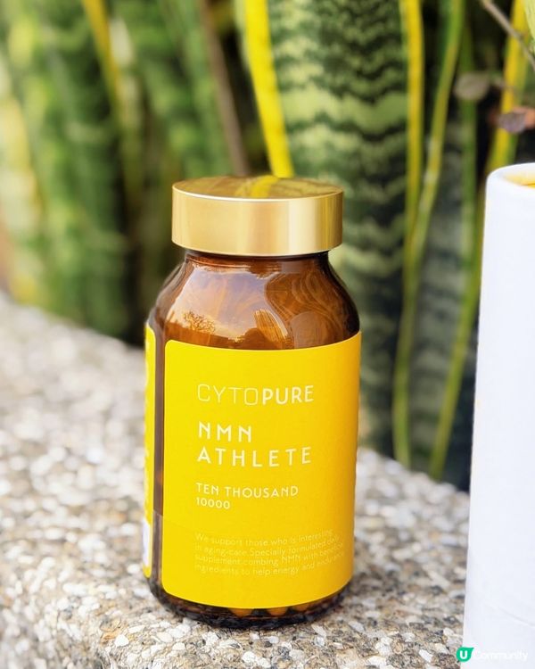 就嚟又到新一年🎉系時侯要送份健康俾自己同家人做禮物🎁