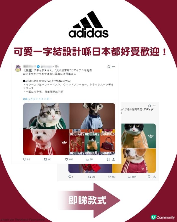 🐾 馬年必入！adidas Originals 寵物新春系列＋親子裝登場 🧧