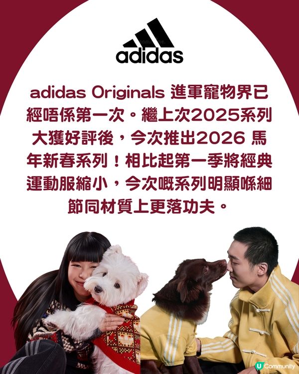 🐾 馬年必入！adidas Originals 寵物新春系列＋親子裝登場 🧧