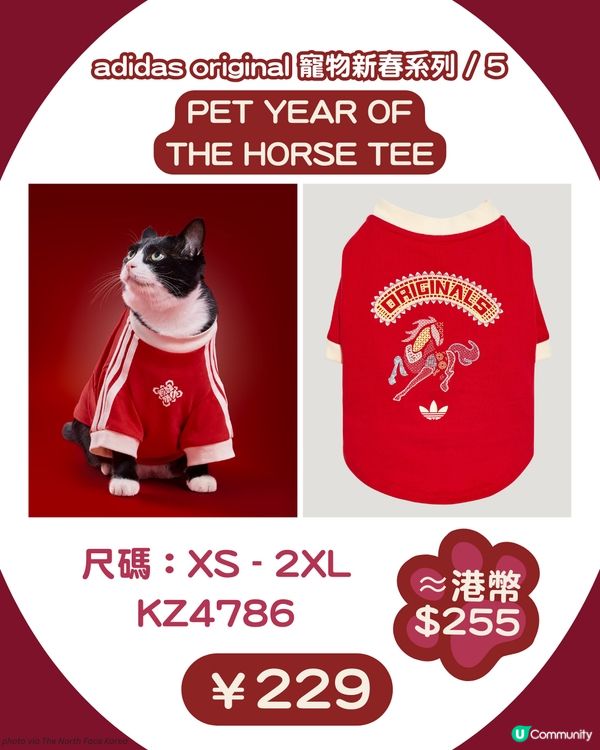 🐾 馬年必入！adidas Originals 寵物新春系列＋親子裝登場 🧧