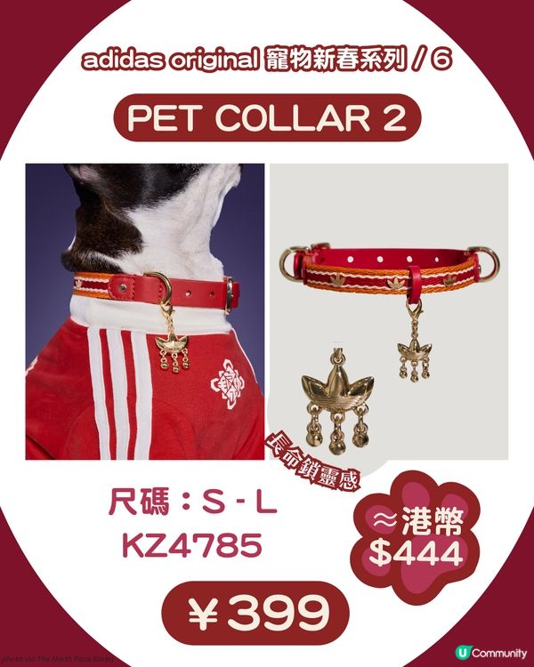 🐾 馬年必入！adidas Originals 寵物新春系列＋親子裝登場 🧧