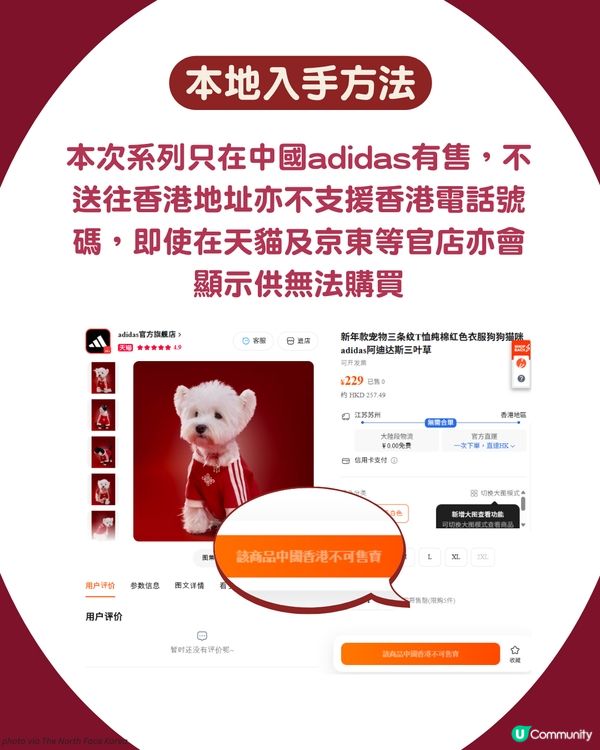 🐾 馬年必入！adidas Originals 寵物新春系列＋親子裝登場 🧧
