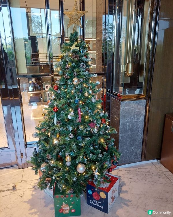 聖誕驚喜🥰🤗