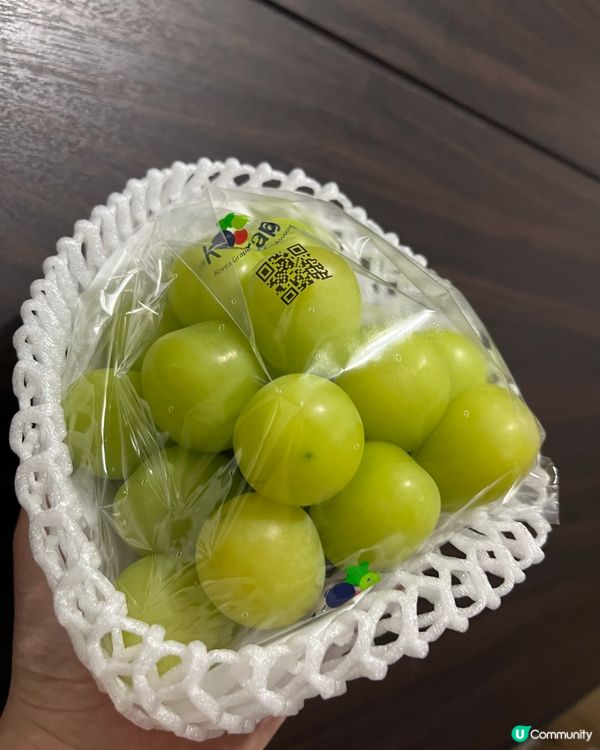 葡提子🍇除夕迷思