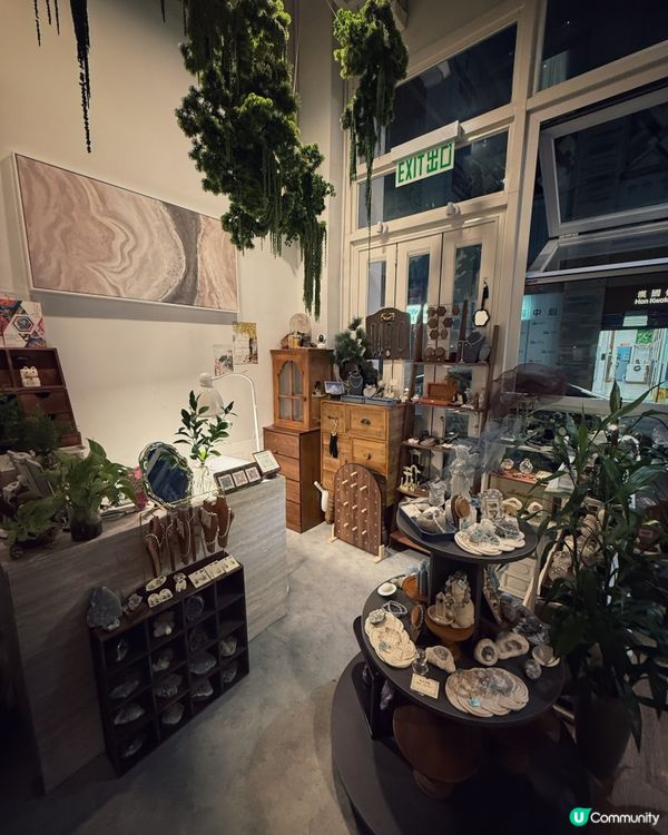 1.  素食都咁正🤤！兩兄弟尖咀覓食記！😋 #尖沙咀美食