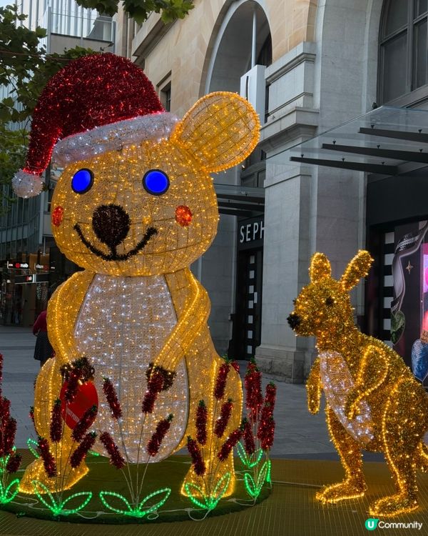 今年聖誕飛西澳！✈️ 影相打卡一流📸