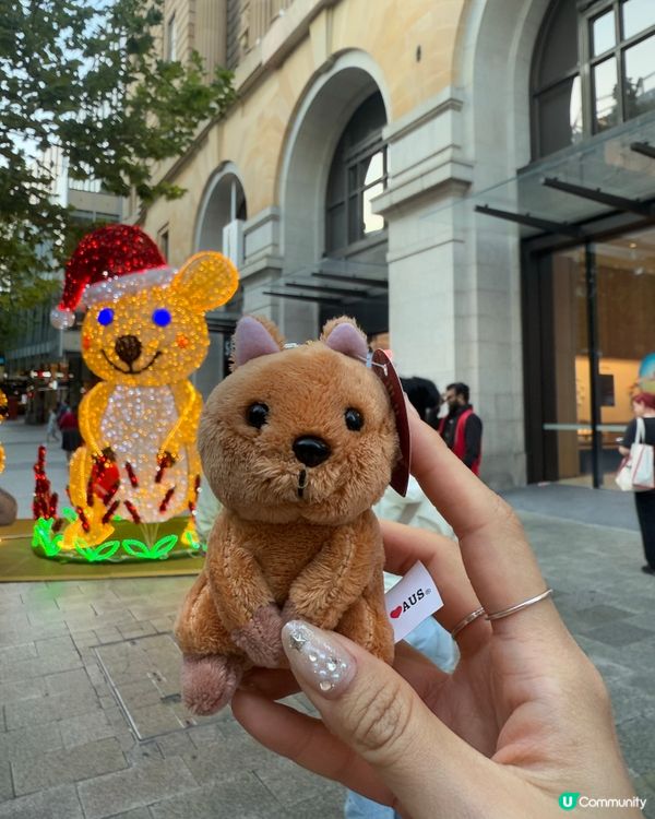 今年聖誕飛西澳！✈️ 影相打卡一流📸