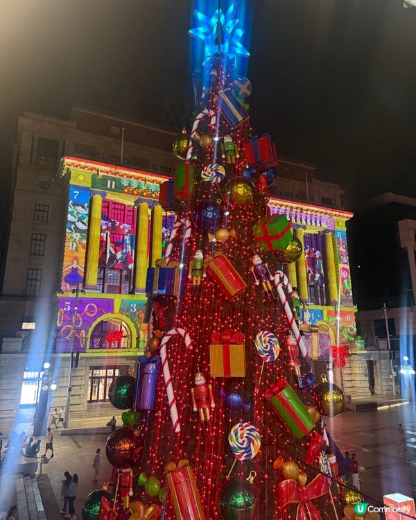 今年聖誕飛西澳！✈️ 影相打卡一流📸