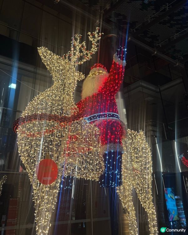 今年聖誕飛西澳！✈️ 影相打卡一流📸