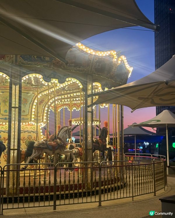 今年聖誕飛西澳！✈️ 影相打卡一流📸