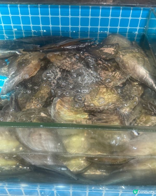 任食海鮮