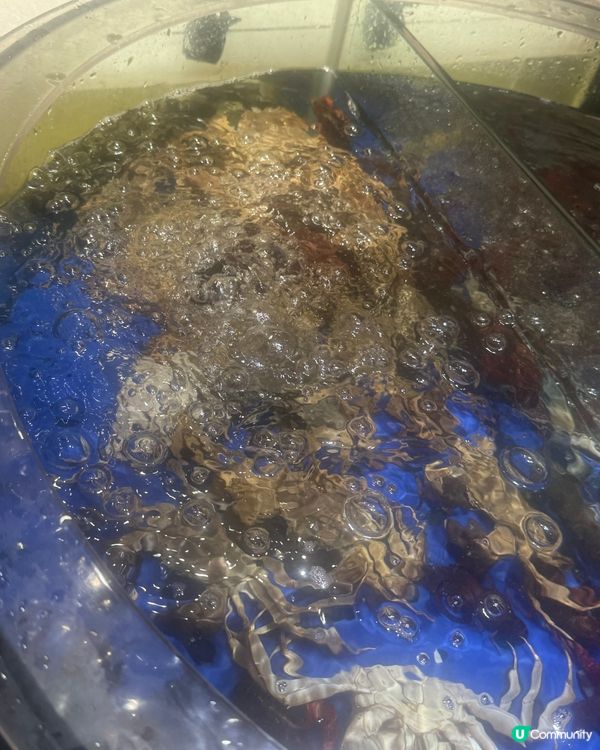 任食海鮮