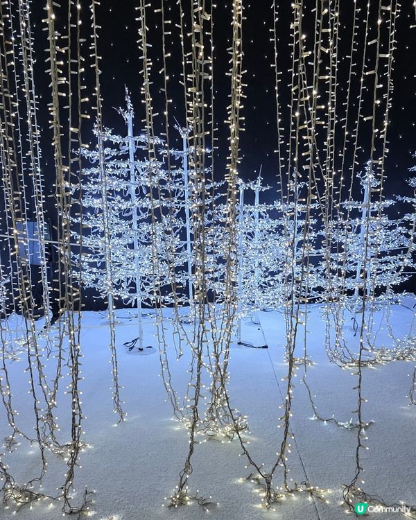 香港首個光影樂園體驗✨Festilumi