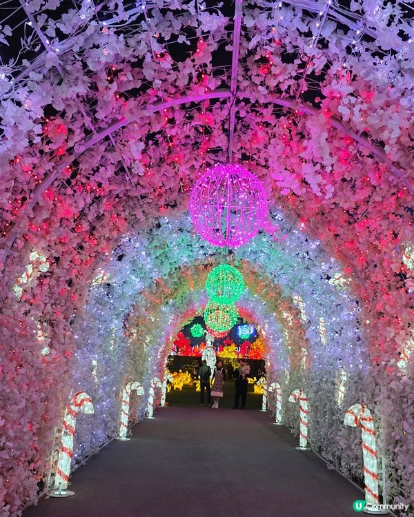 香港首個光影樂園體驗✨Festilumi